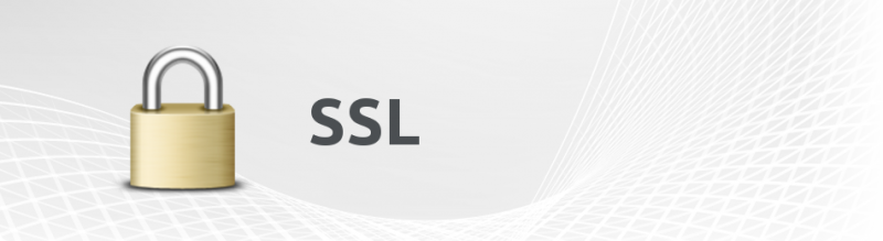 Arquivo:Banner ssl.png