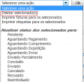 Pedidoclienteexcl2.png